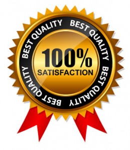 Vector 100% Satisfaction Gold Label Set with Red Ribbon.